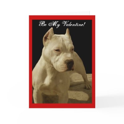 Be My Valentine pitbull greeting card by ritmoboxer