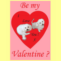 Be my Valentine ? t-shirts