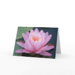 BE- Pink Water lily Get Well Card