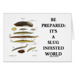 Be Prepared: It's A Slug Infested World