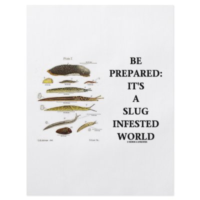 Be Prepared: It's A Slug Infested World by wordsunwords