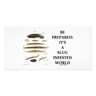 Be Prepared: It's A Slug Infested World by wordsunwords