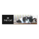 Be The Cat bumper stickers