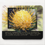 Be Ye Transformed Mousepad
