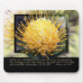 Be Ye Transformed Mousepad