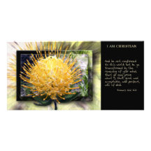 Be Ye Transformed Scripture Card Photo Cards