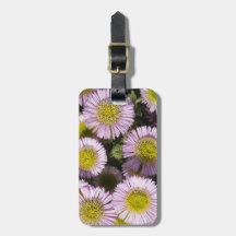 Beach Asters Luggage Tag