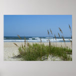 Beach at Ocracoke posters