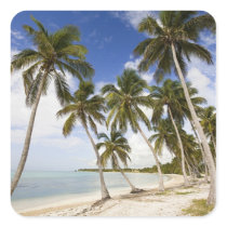 Beach at Punta Cana Stickers