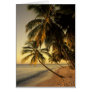 Beach at sunset, Trinidad Card