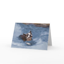 Beach Babe Greeting Cards