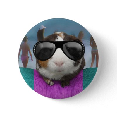 Beach bum guinea pig button by cawjam84