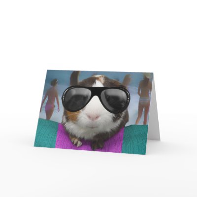 Beach bum guinea pig cards by cawjam84