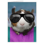 Beach bum guinea pig card