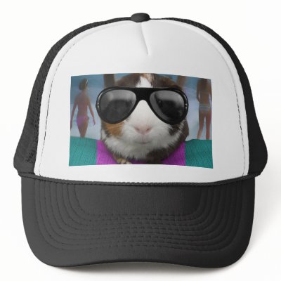 Beach bum guinea pig hat by cawjam84