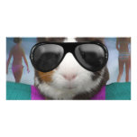 Beach bum guinea pig photo cards