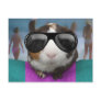 Beach bum guinea pig postcard