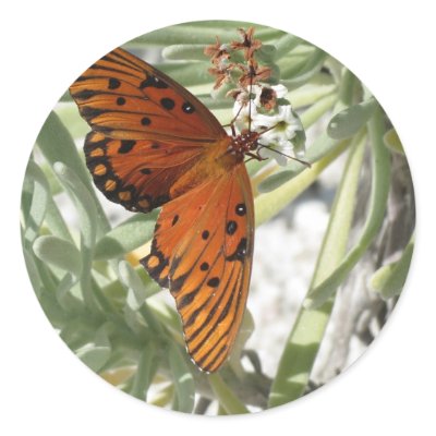 Beach Butterfly Stickers by Surroundings