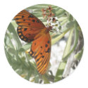 Beach Butterfly stickers