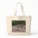 beach chairs bags