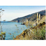 Beach Coast Ocean Water Sea Dill Photo Cut Outs