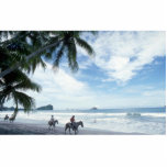 Beach, Costa Rica Acrylic Cut Out