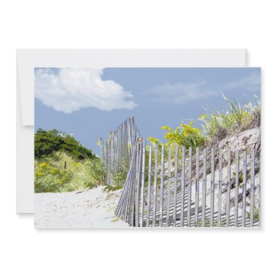 Beach Fence & Dune by ElainePlesser