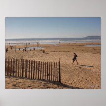 Beach Fence Posters