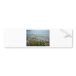 Beach Flowers 2 Bumper Stickers