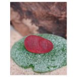 Beach Glass Christmas Flyer