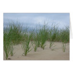 Beach grass cards