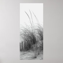 BEACH GRASS POSTERS