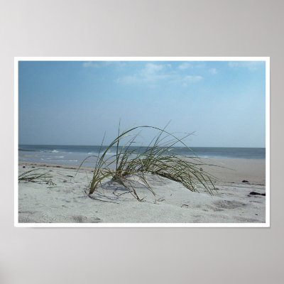 Beach Grass Print by suebee