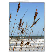 Beach Greeting Cards