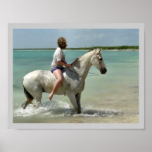 Beach Grey Pony Poster