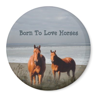 Beach Horses Magnet by horsesense