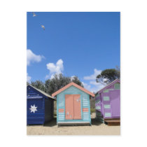Beach Hut Seaguls Post Card