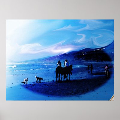 Beach in Baja Mexico Poster by dylan890