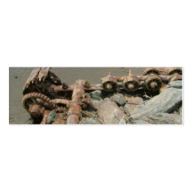 Beach Intrigue Business Card