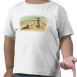 Beach Kittens Tshirt