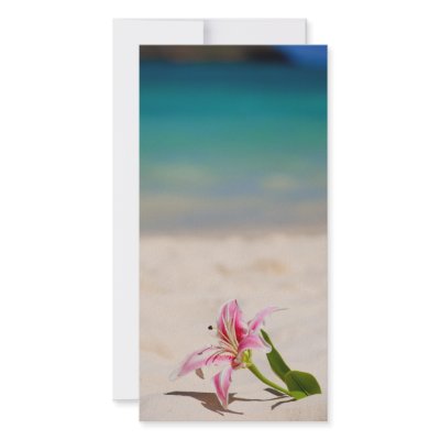Beach Lily by photobychris