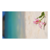 Beach Lily Sticker