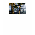 Beach Logo t-shirts