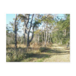 Beach Nature Trail Buxton NC OBX Postcard
