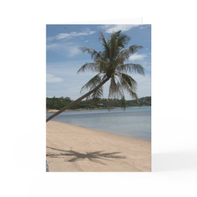 beach palm tree by cardart