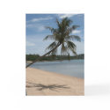 beach palm tree cards