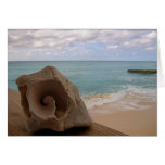 Beach Paradise Conch Shell Greeting Card