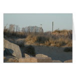 Beach Path cards