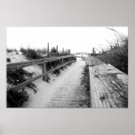 Beach Path Photo Print
