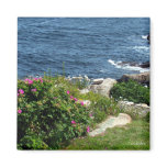 Beach Plum Sea Roses